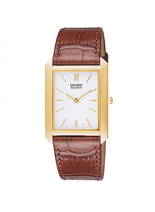 CITIZEN ECO-DRIVE AR3002-21A